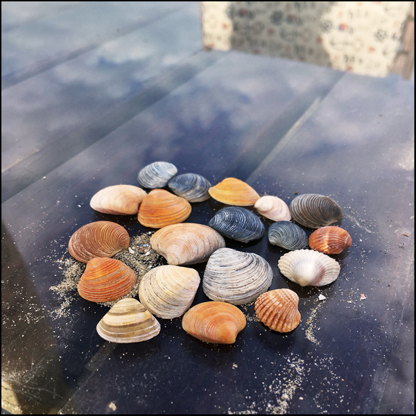 456 :: @beach cafe